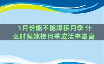 1月份能不能嫁接月季 什么时候嫁接月季成活率最高